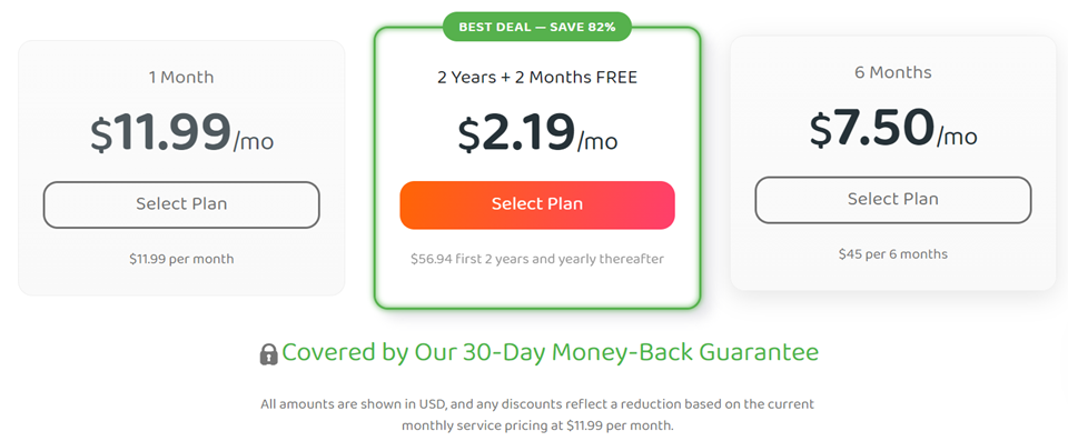 express vpn subscription